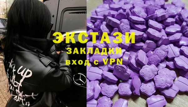 крисы Корсаков