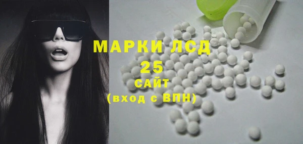 spice Бородино
