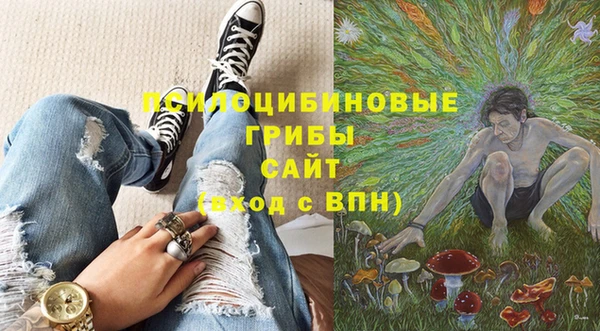 mdpv Бронницы
