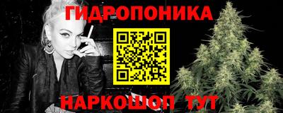 амф Славгород