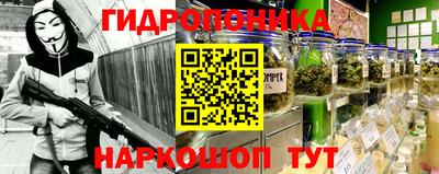 амф Славгород