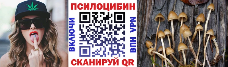 закладки  Обь  MEGA маркетплейс  Псилоцибиновые грибы MAGIC MUSHROOMS 