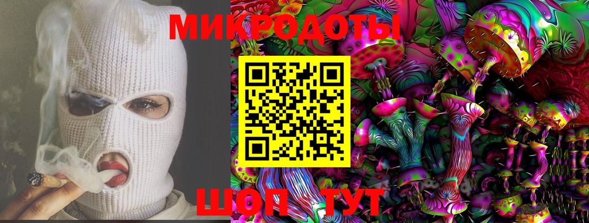 Псилоцибиновые грибы Psilocybine cubensis Обь